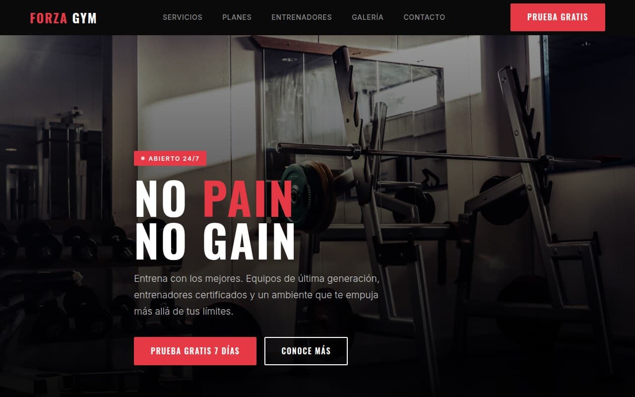 FORZA Gym preview